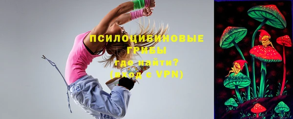 первитин Богданович