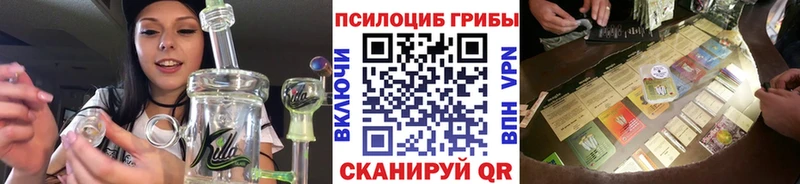Псилоцибиновые грибы Psilocybe  Курильск 